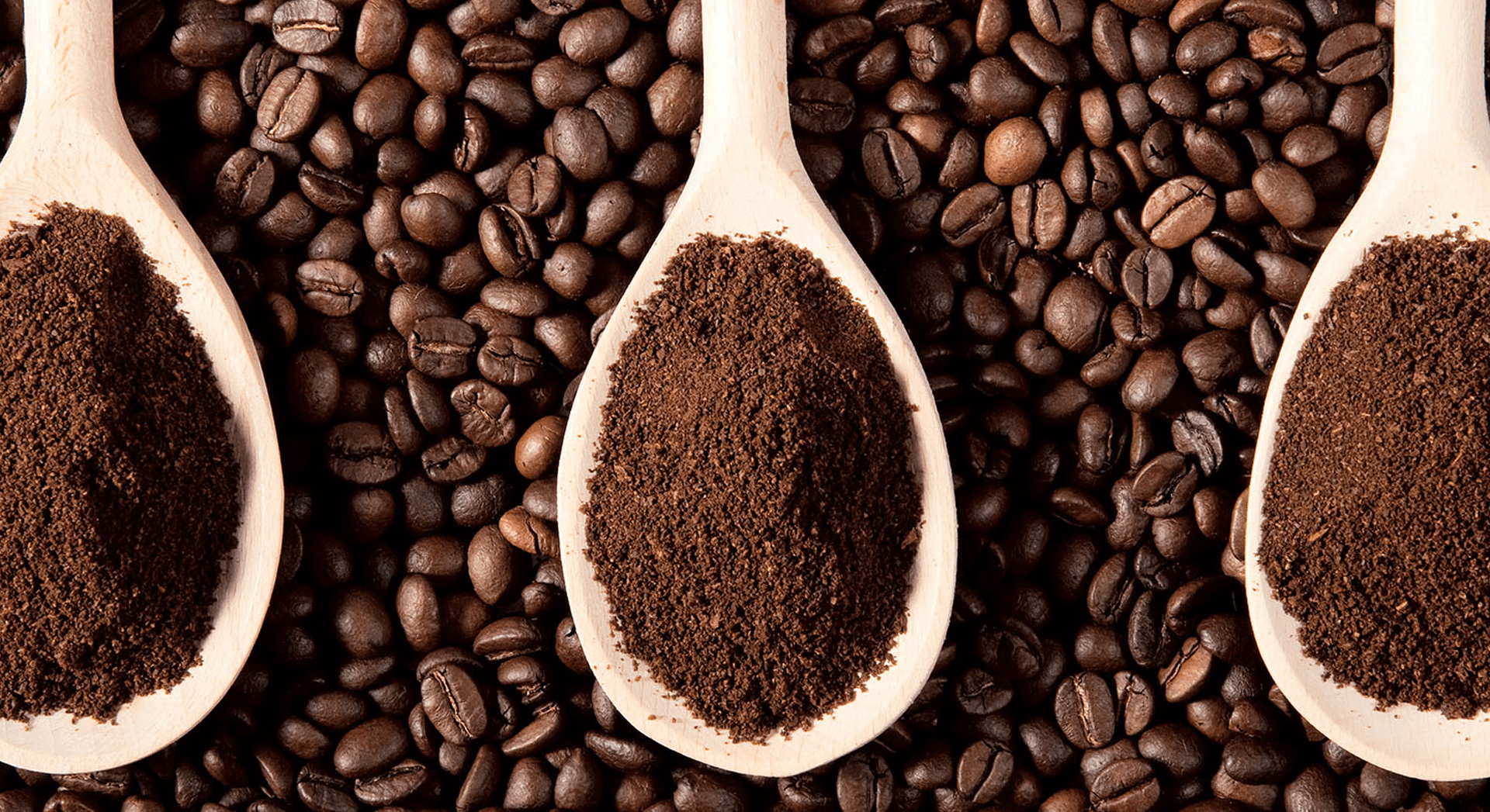 Know Our Food - Discover the Power of the Bean Know Our Food - Discover the Power of the Bean