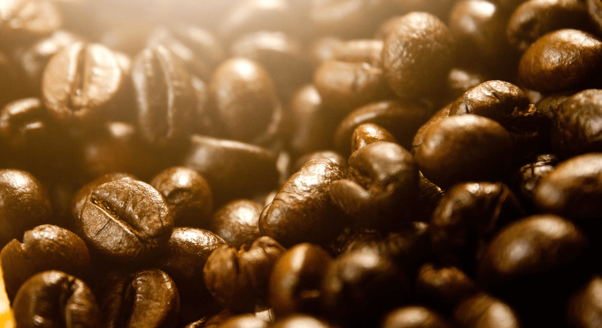 Know Our Food - Every roasted Arabica bean in our coffee is 100% responsibly-sourced Know Our Food - Every roasted Arabica bean in our coffee is 100% responsibly-sourced