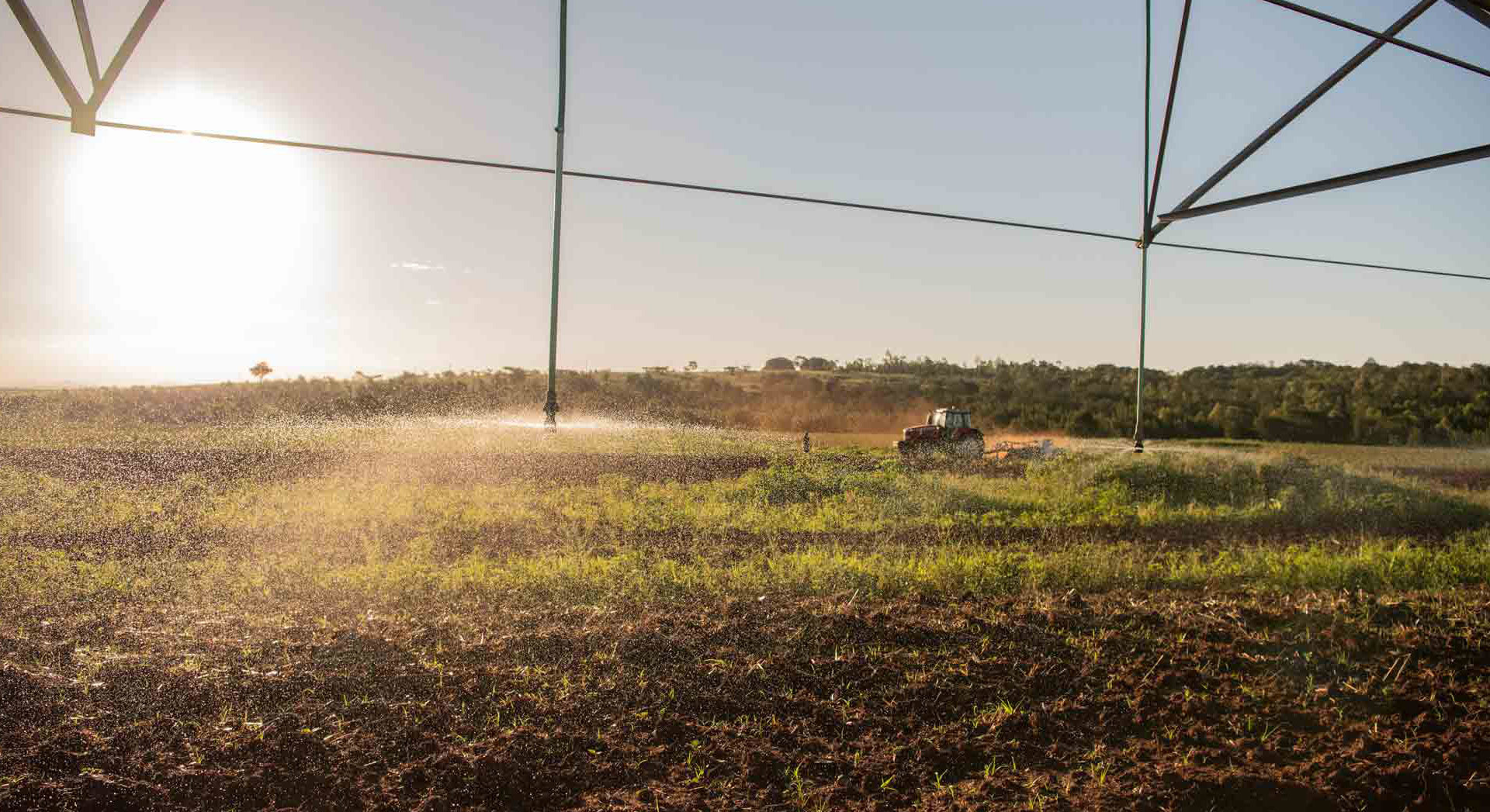 Know Our Food - Are chemicals used at the farm level in growing potatoes for McDonald's? Know Our Food - Are chemicals used at the farm level in growing potatoes for McDonald's?